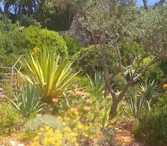 Culto in Luogo Speciale a Ischia